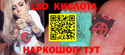 твердый Моздок