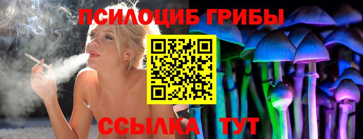 Чернушка  Галлюциногенные грибы ЛСД  Галлюциногенные грибы прущие грибы  Вход с VPN 
